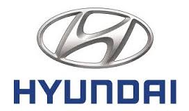 HYUNDAI HYU291343X000 Захист радіатора бічна права на автомобиль HYUNDAI I30